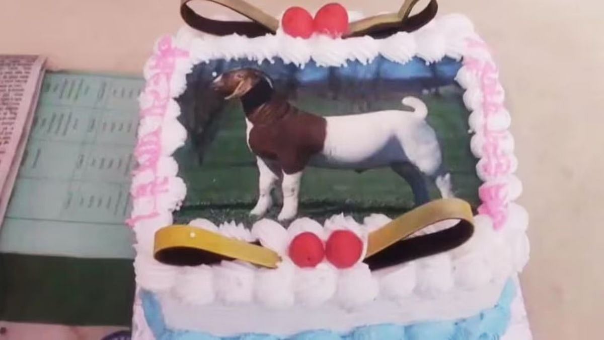 Muslim Family In Agra Skips Bakrid Sacrifice, Celebrates With Goat-Themed Cake - VIDEO