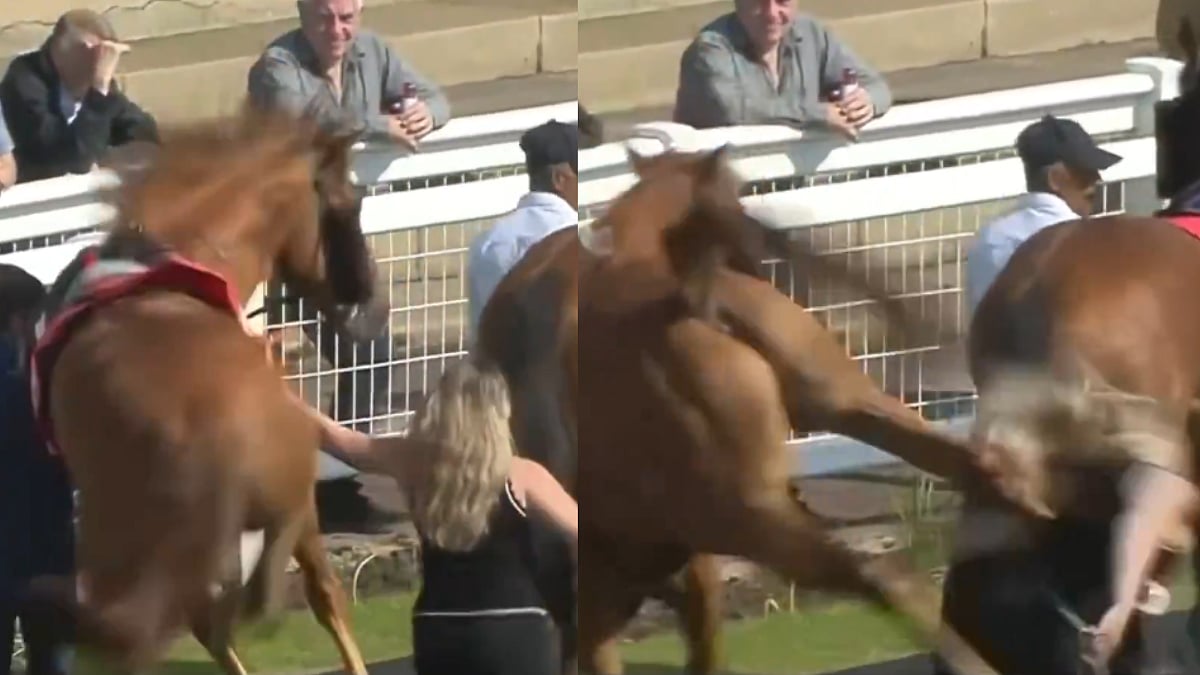 Shocking Scenes! Horse Violently Kicks Out Woman In Parade Ring At Redcar Racecourse; Video Goes Viral