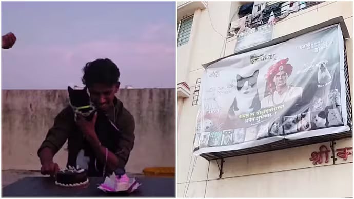 'Ab Animals Ki Bhi Jayanti?' Mumbai Man Throws Grand Birthday Bash For Pet Cat; Internet Says 'Even Humans Don’t Get This Treatment'