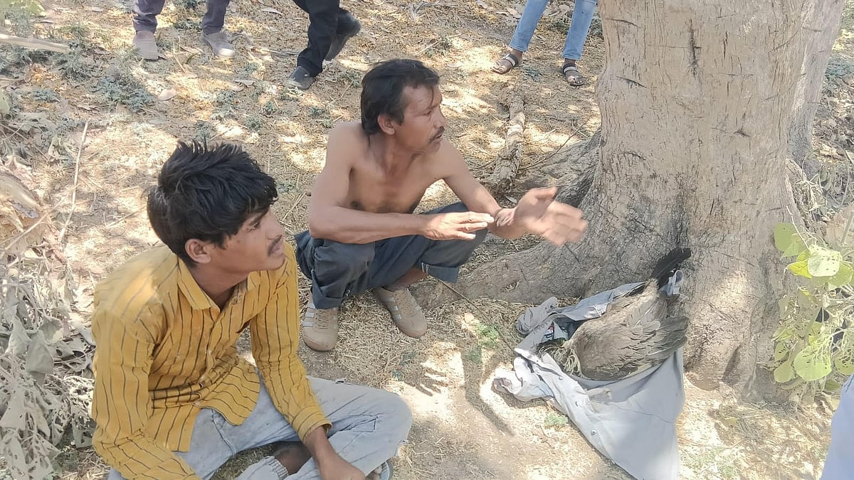 Two Held For Hunting Peacock, Villagers Hand Them Over To Police In Sitamau