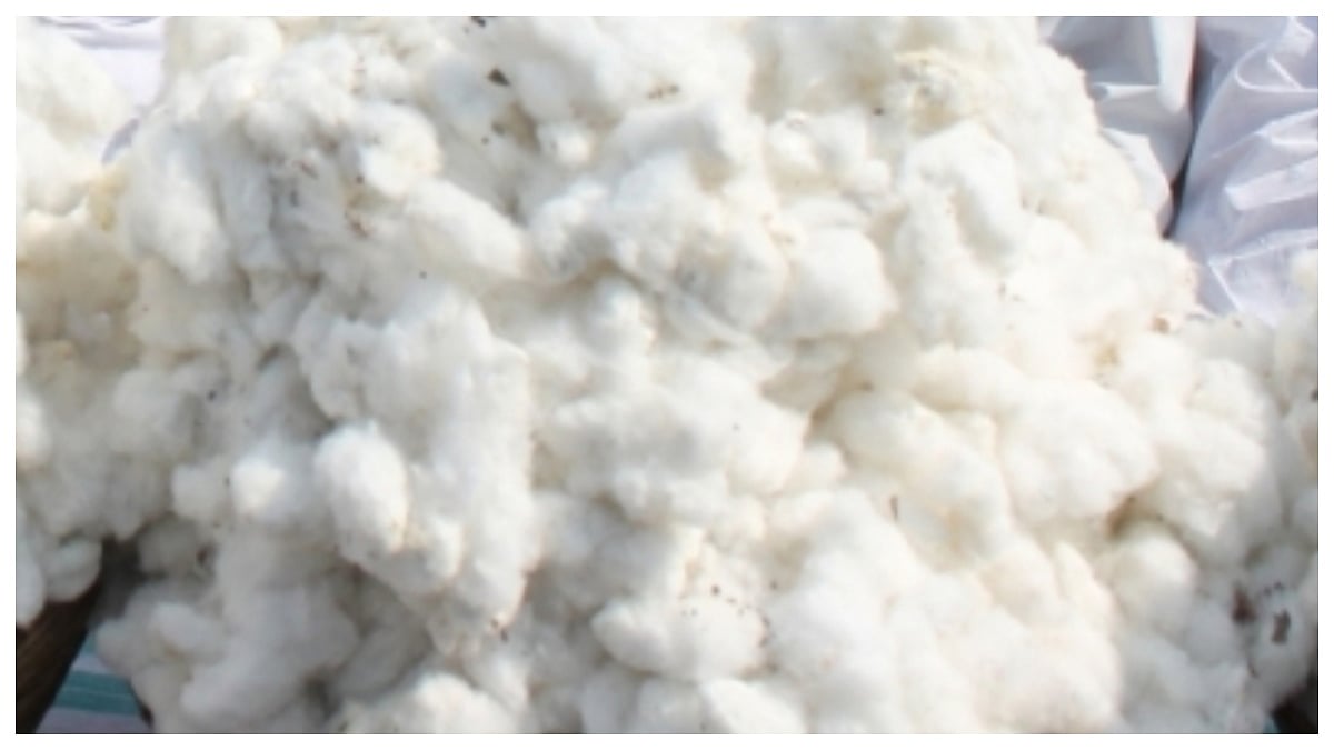 Centre Waives 100% Customs Duty On Cotton Imports Till October 30, Move Aims To Support Textile Industry & Boost Supply