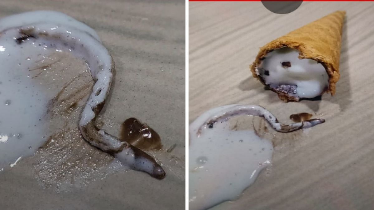 Child Allegedly Finds Worm In Packaged Ice Cream Cone In Kalyan; Uncle Demands Action Against Manufacturer