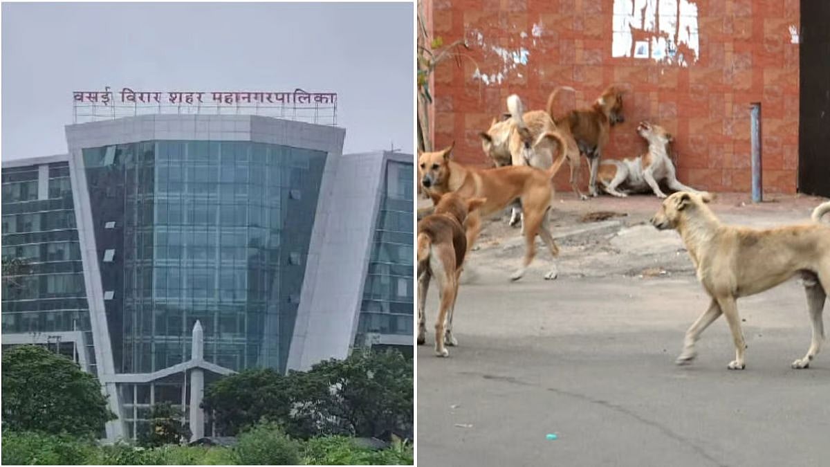 VVCMC Issues Stray Dog Feeding Regulations Following SC Guidelines Amid Rising Dog Bite Incidents In City