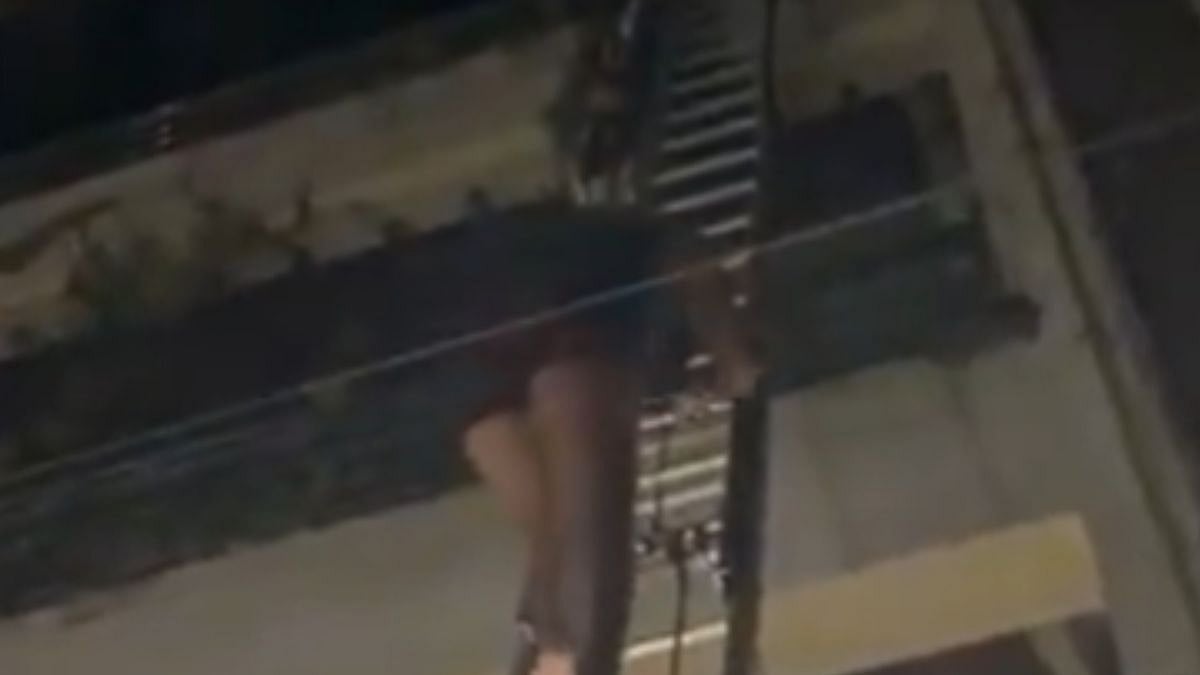 Ghaziabad Apartment Fire: Residents Evacuated Safely, 3 Pet Dogs Die In Blaze - VIDEO