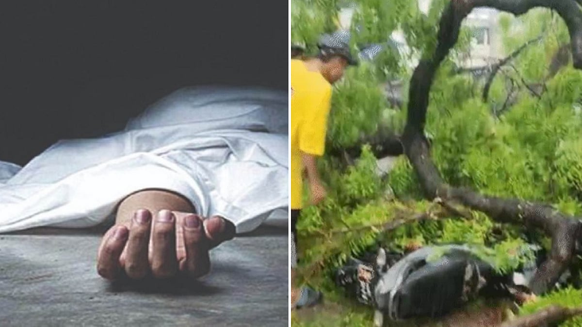 One Dead, Two Injured After Tree Collapses On Bike At Sheopur Bus Stand 