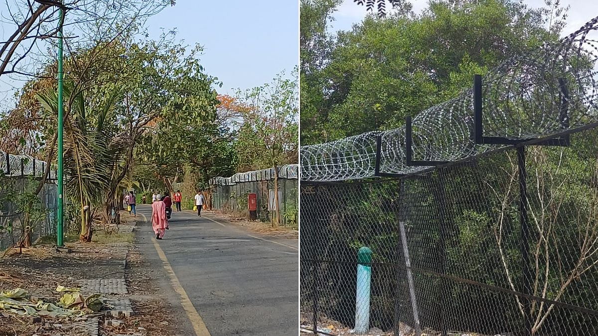 Thane Mangrove Cell Installs Protective Fencing At Mithbunder Wetlands To Prevent Encroachments And Dumping