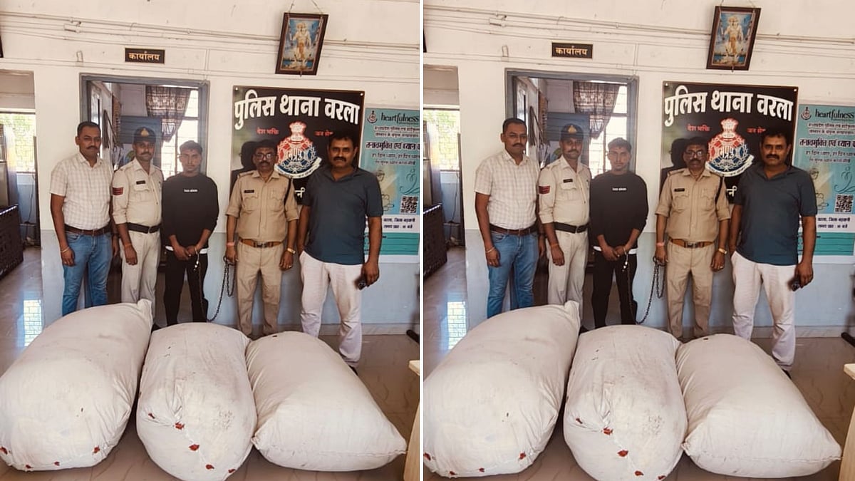 Police Seize 147 Kg Of Ganja Worth ₹32.34 Lakh In Sendhwa