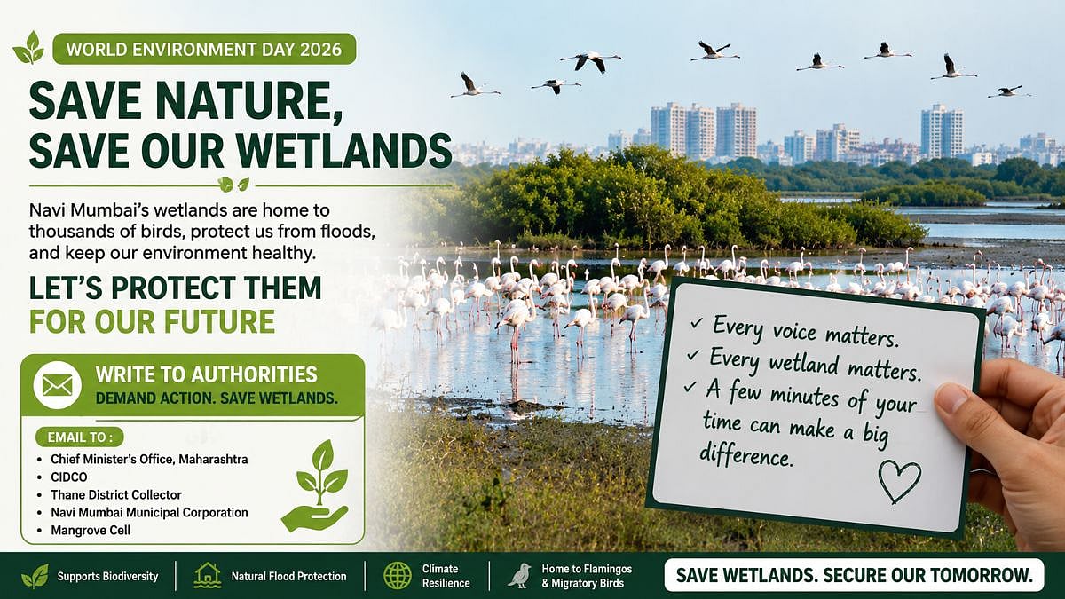 World Environment Day 2026: Citizens Urged To Write To Authorities For Protection Of Navi Mumbai Wetlands