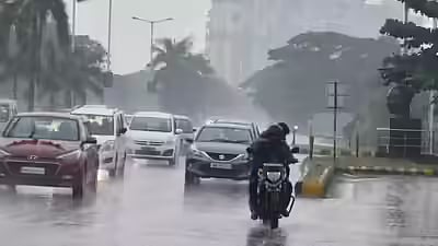 Madhya Pradesh June 5, 2026, Weather Update: Rain, Strong Winds Sweep Across State; Monsoon Likely Around June 20
