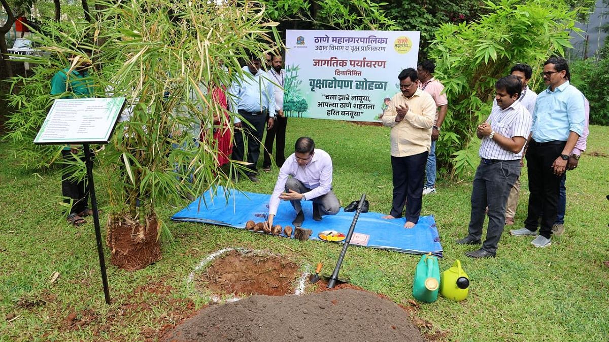 World Environment Day 2026: Thane Municipal Corporation Launches Bamboo Plantation Drive, Targets One Lakh Trees In FY27