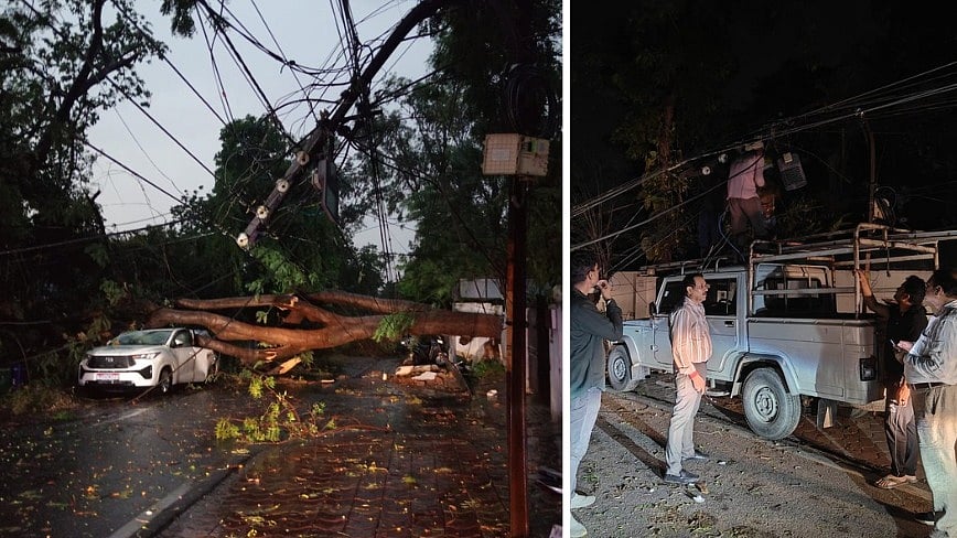 Bhopal Weather:  Strong Winds @ 70 To 80 kmph Uproot Trees, Hit Power Supply Across City; Repair Work On— VIDEO