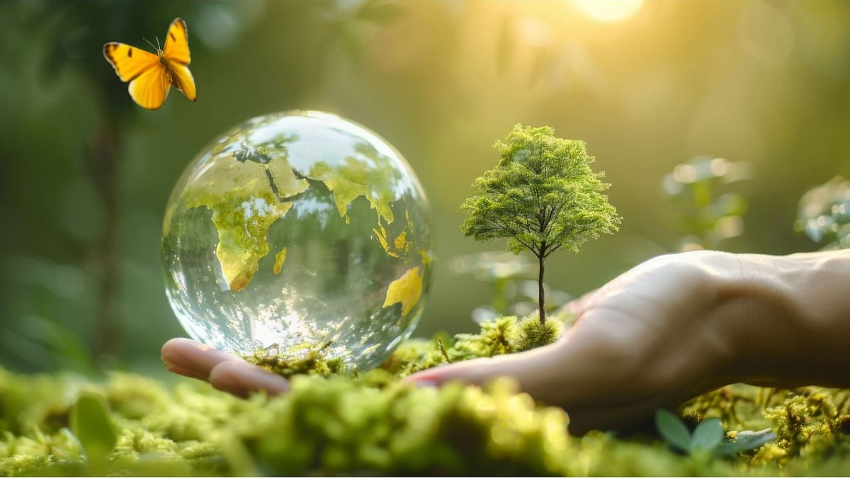 World Environment Day: Know Date, Origin, Significance & Why It Is Observed?