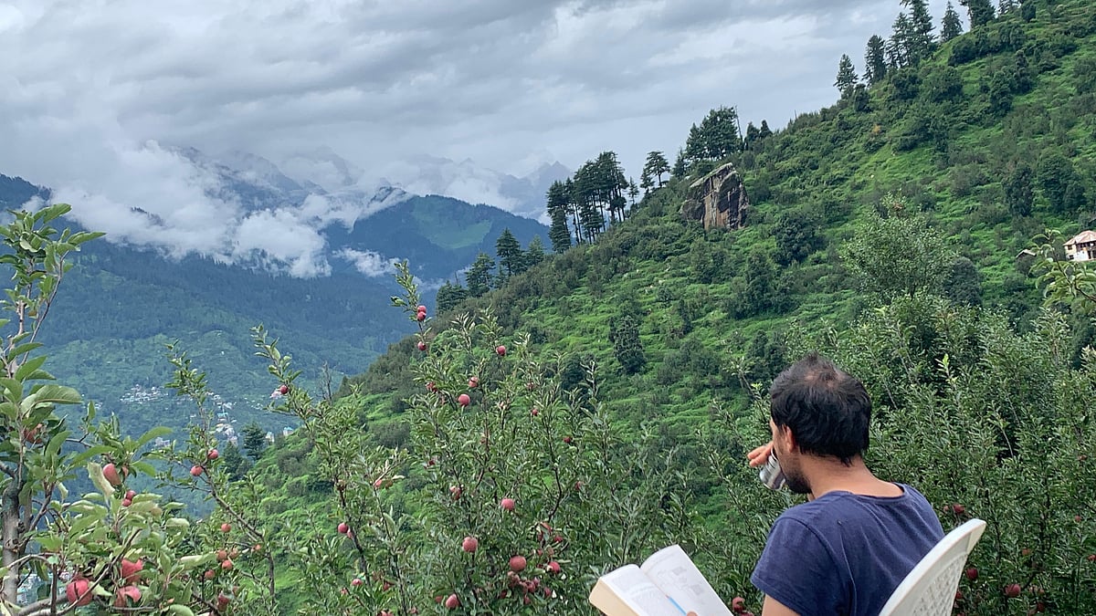 Inside Lost In Woods: A Himalayan Homestay Where Guests Discover Slow Living