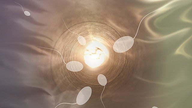 AIIMS Professor Researches Sperm Retrieval In Case Of Hanging Death