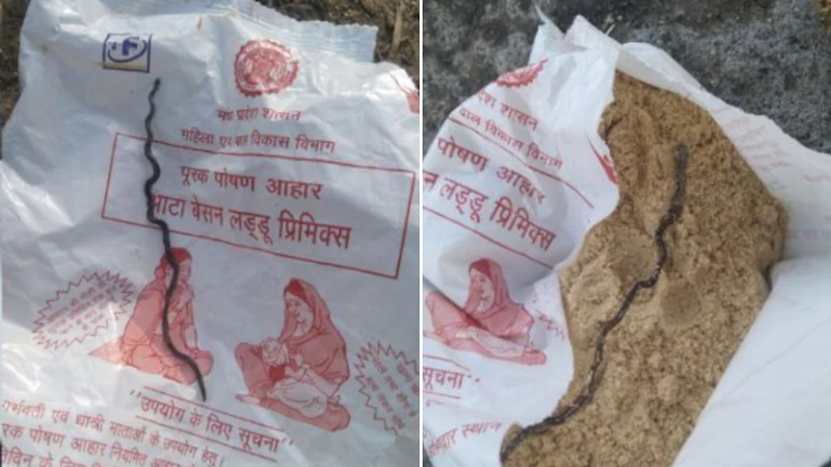 Dead Baby Snake Found In Nutrition Packet Given To Pregnant Woman At Anganwadi In Pandhurna