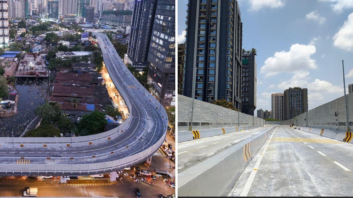 Mumbai: BMC Defends New Mrinal Tai Gore Flyover Amid Viral Criticism Over 'Patchy' Road Surface