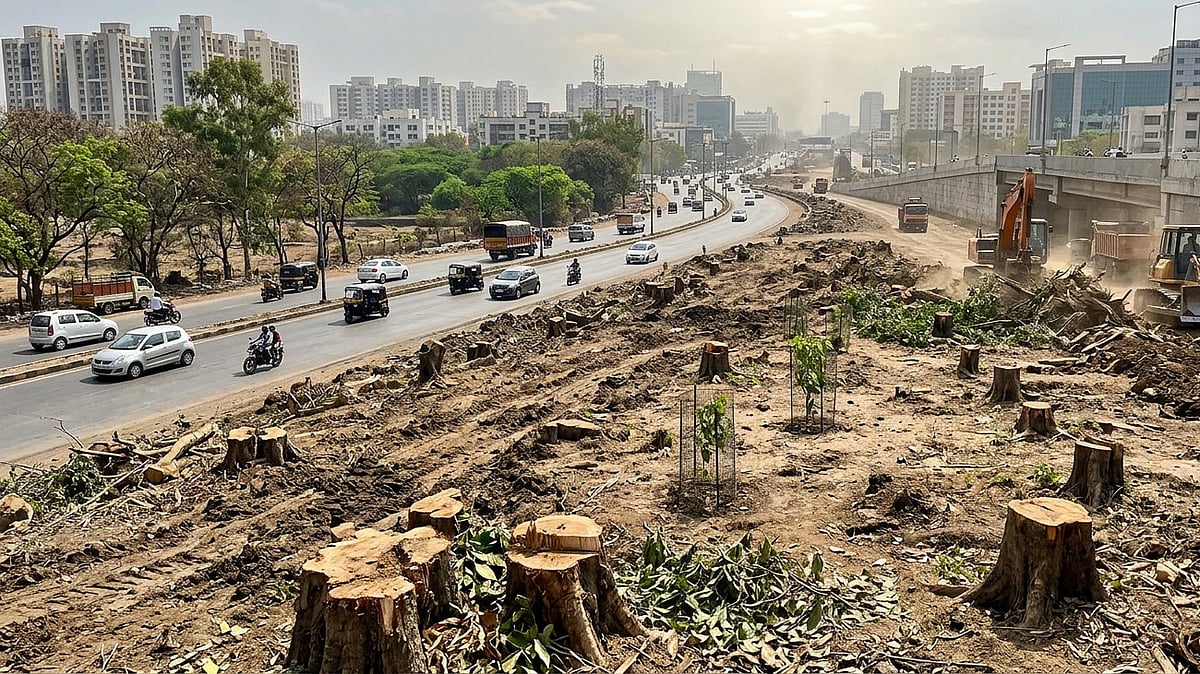 The Cost Of Development In Pune: Over 21,000 Trees Felled Across Pimpri-Chinchwad In Six Years
