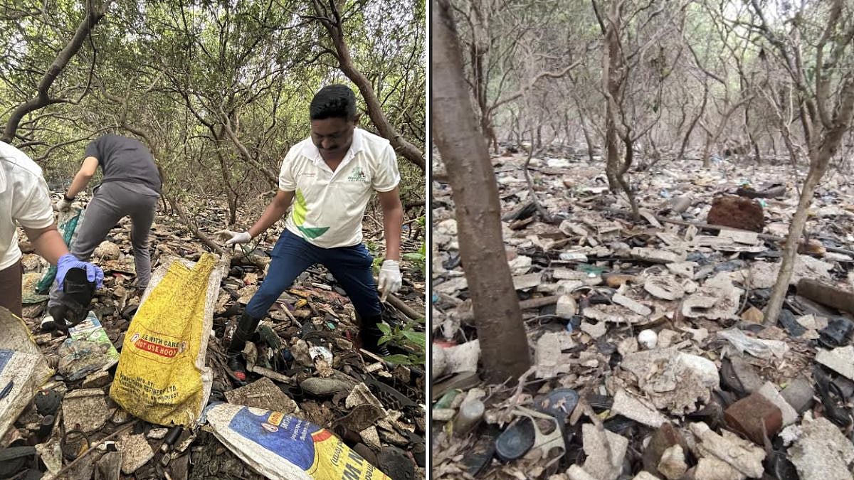 Thane: 800 Kg Waste Removed From Sarsola Jetty as Volunteers Flag Systemic Pollution Crisis
