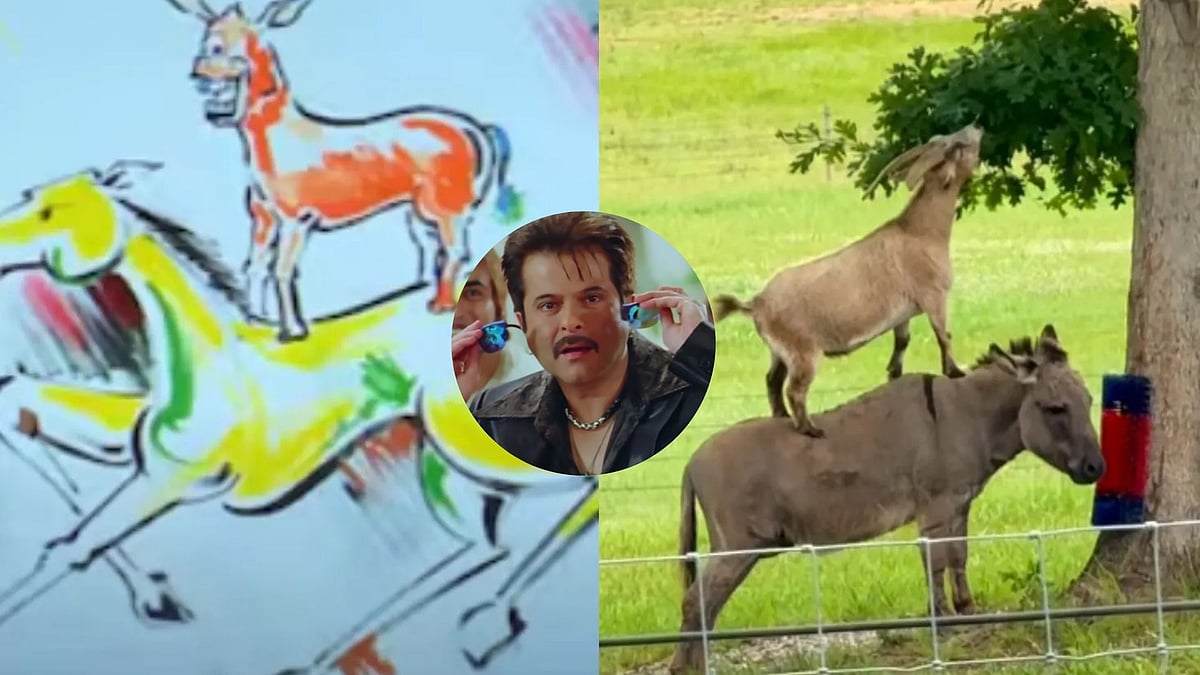 'Majnu Bhai Was Ahead His Of Time': Viral Goat-On-Donkey Video Reminds Internet Of Anil Kapoor's Painting From Movie 'Welcome'
