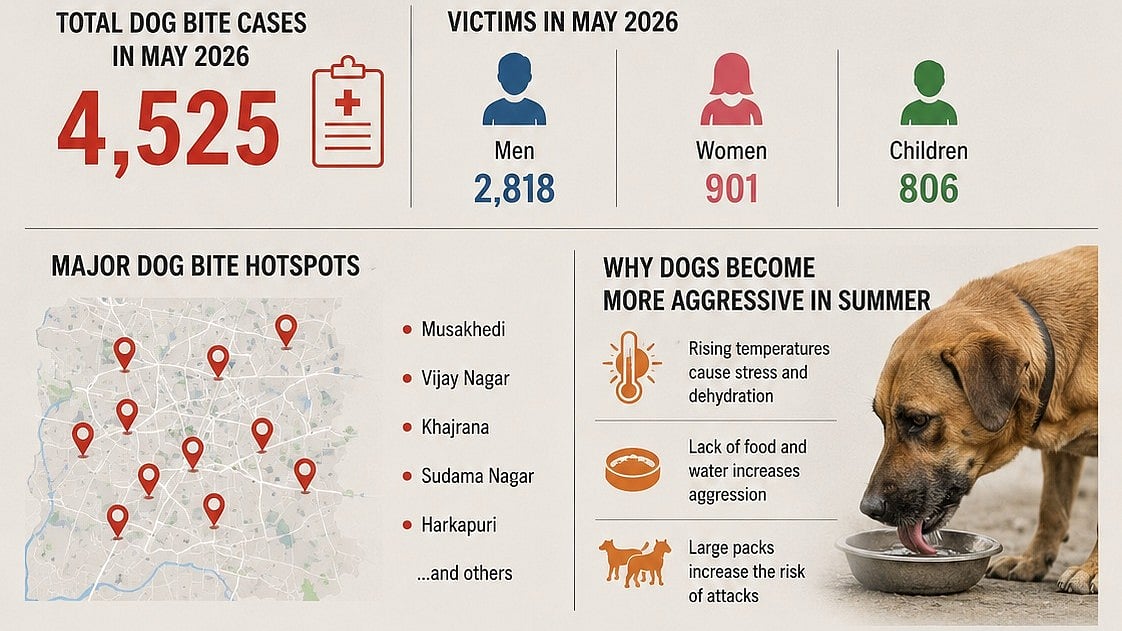 Stray Dog Menace Worsens: Over 4,500 Dog-Bite Cases Reported In May