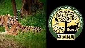 Veerangana Durgavati Tiger Reserve: Level-3 Preparations Under Cheetah Project Underway