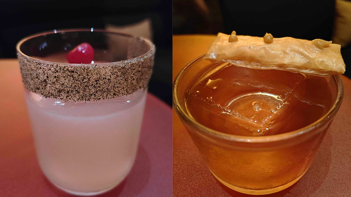 (Right) Salsa Punch and (left) Notorious