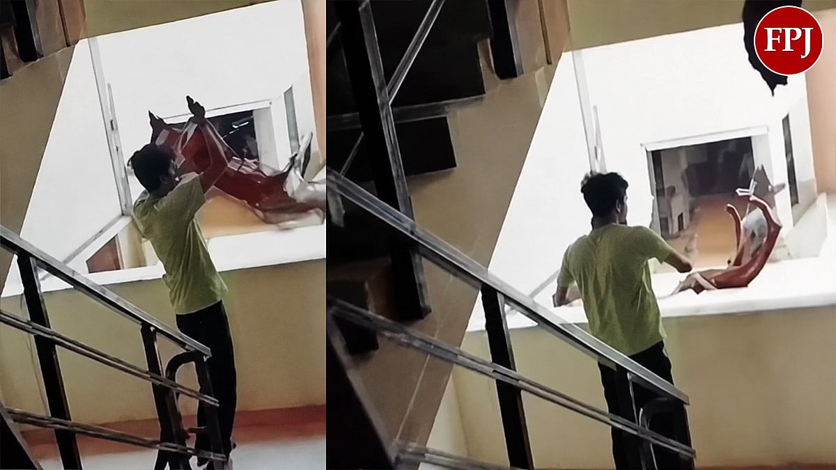 Jamnagar Shocker: Youth Throws Stray Dog From Top Floor, Disturbing Video Sparks Outrage