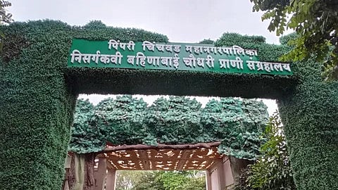 Pimpri-Chinchwad Zoo: A Decade Lost - Closure To Continue For At Least Another Year