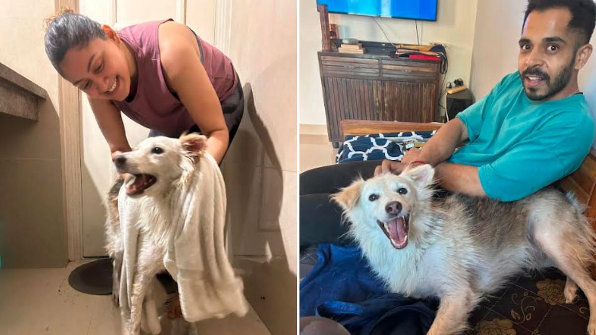 FPJ Exclusive: In A First, State Forensics Team Investigates An Alleged Murder Of A Stray Dog; Collects Critical Evidence From High-Profile Madh Society