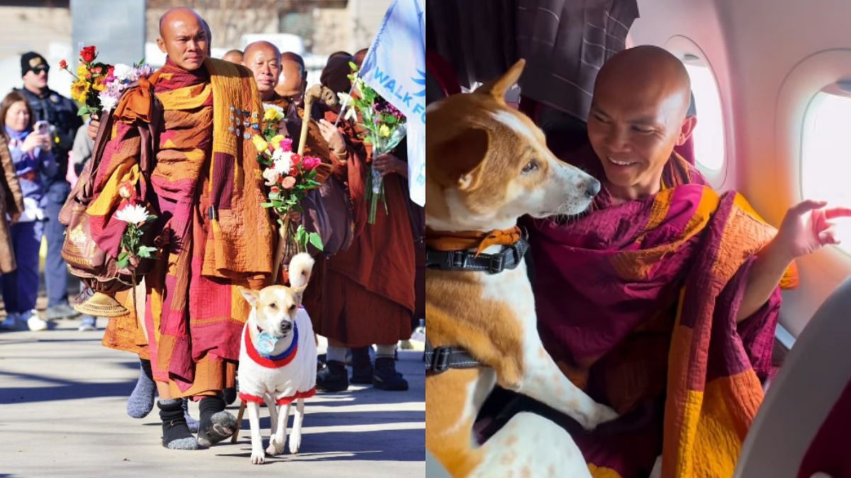 Peace Dog 'Aloka' Returns To India After 2,300-Mile Walk Across America; Heartwarming Video With Buddhist Monks Win Hearts