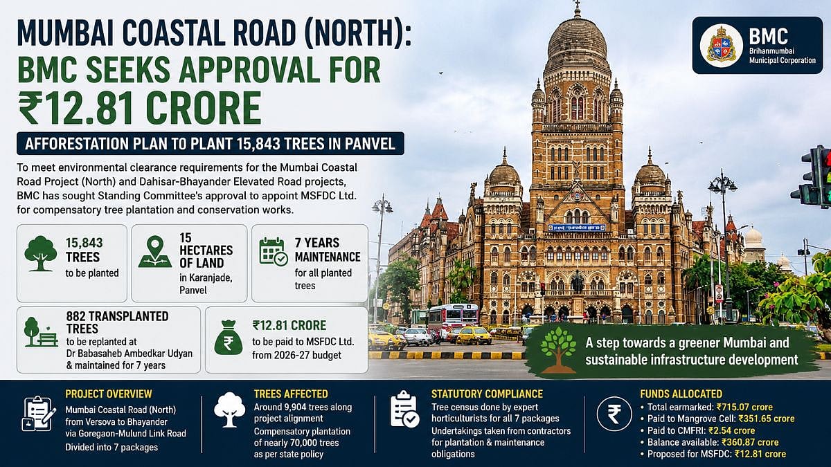 Mumbai Coastal Road North Project: BMC Seeks Approval For ₹12.81 Crore Afforestation Plan To Plant 15,843 Trees In Panvel