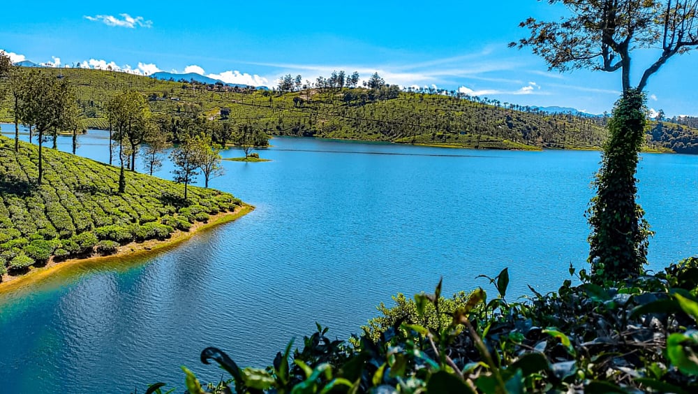 Anand Mahindra Recommends This Tamil Nadu Hidden Gem As One Of The Most Beautiful And Less Explored Tourist Destinations