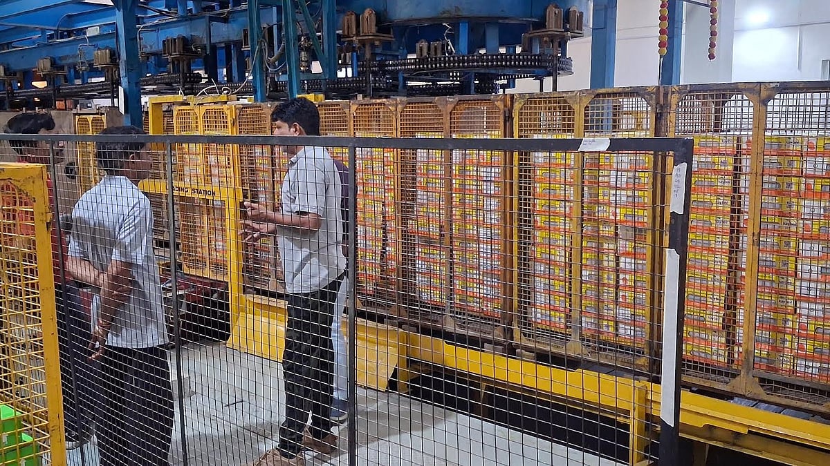 Nashik: Mango Exports Cross 1,000 Tonnes Through Lasalgaon Irradiation Centre In Two Months