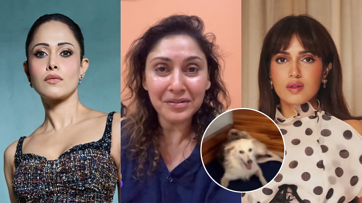 'Heartbroken, Enraged': Nushrratt Bharuccha, Bhumi Pednekar & Others Condemn Animal Cruelty, Support Manjari Fadnis' Appeal For Community Dog Mikey