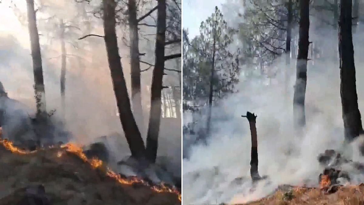 J&K: Rajouri Hit By Massive Forest Fires Across Multiple Ranges Amid Heatwave & Prolonged Dry Spell | Video