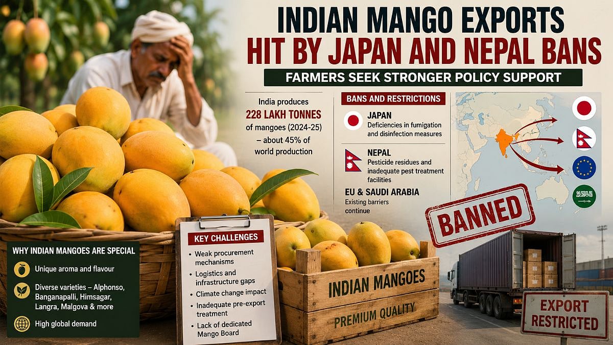 Sweet Fruit, Bitter Season: Indian Mangoes Banned By Japan, Nepal
