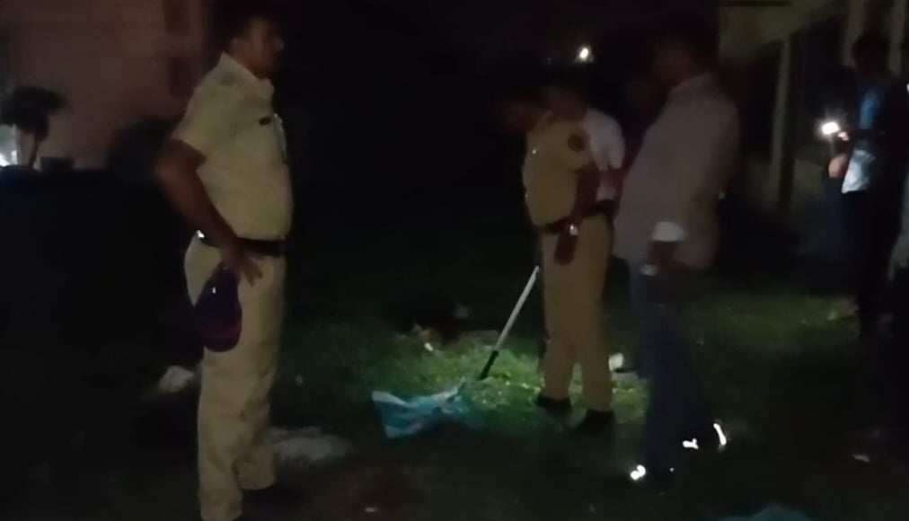 Mumbra Shocked As Stray Dog Found Carrying Newborn's Corpse; Police Launch Probe Into Abandonment And Origin Of 8-Month-Old Infant