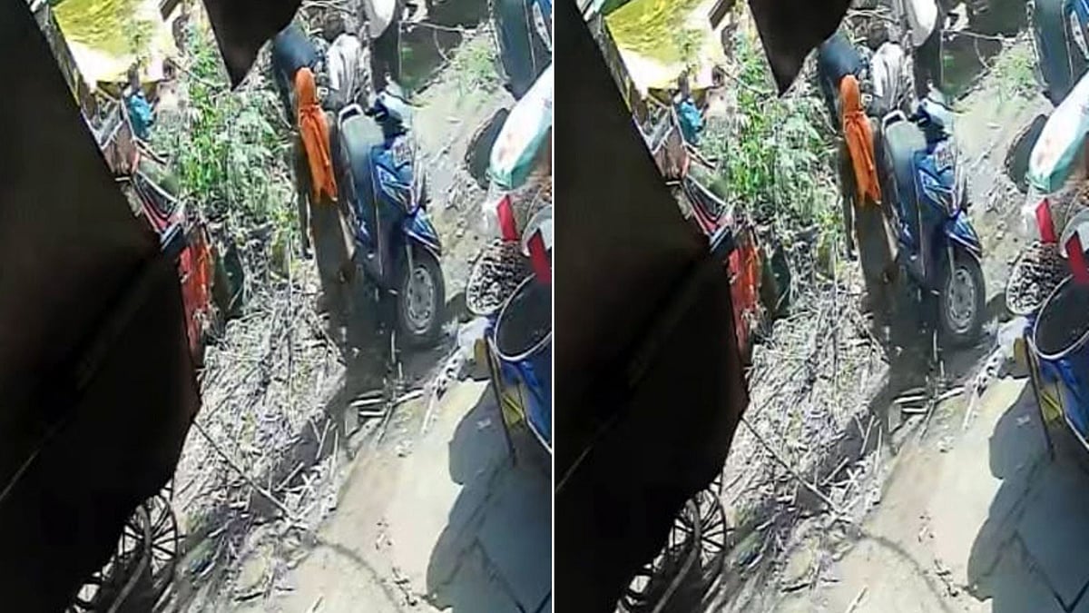 3 Injured After Tree Branch Falls In Azad Market; 112 Broken Trees Yet To Be Removed In Bhopal