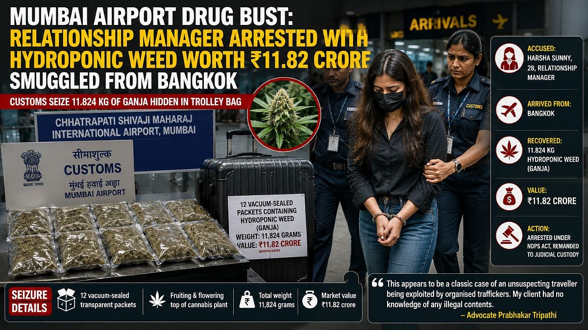 Mumbai Airport Drug Bust: 28-Year-Old Relationship Manager Arrested With Hydroponic Weed Worth ₹11.82 Crore Smuggled From Bangkok At CSMIA