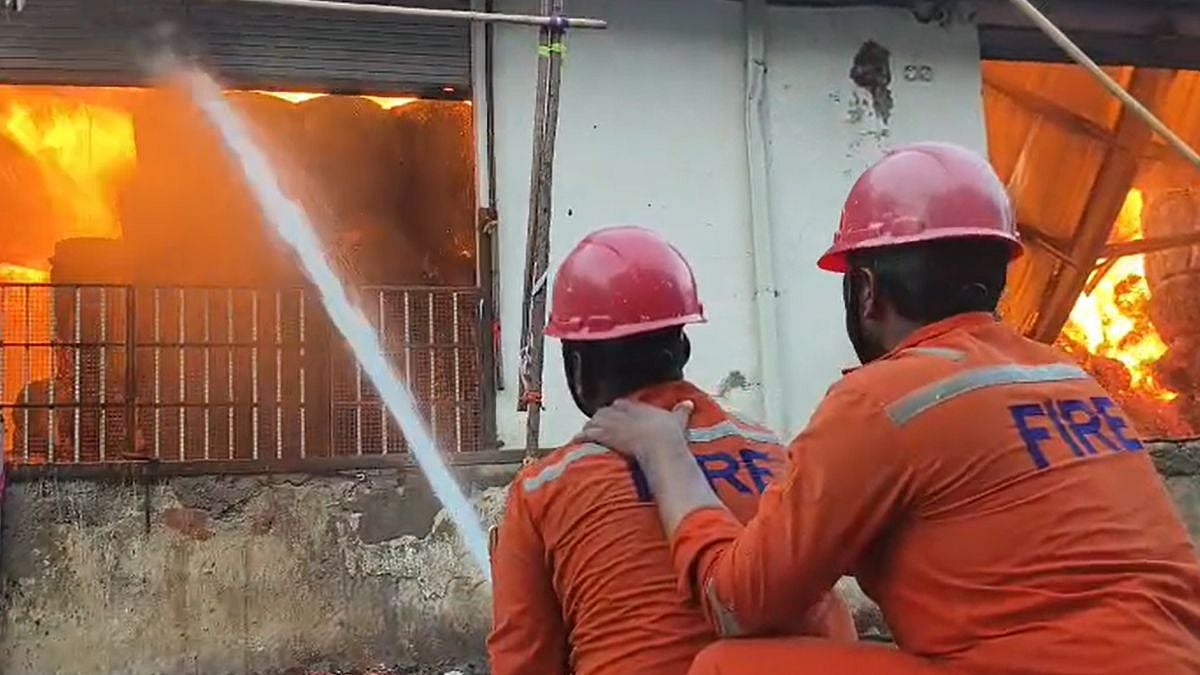 Bhiwandi Fire: Massive Blaze Guts Paper Warehouse In Vahuli Village, Goods Worth Lakhs Reduced To Ashes; No Casualties Reported | VIDEO
