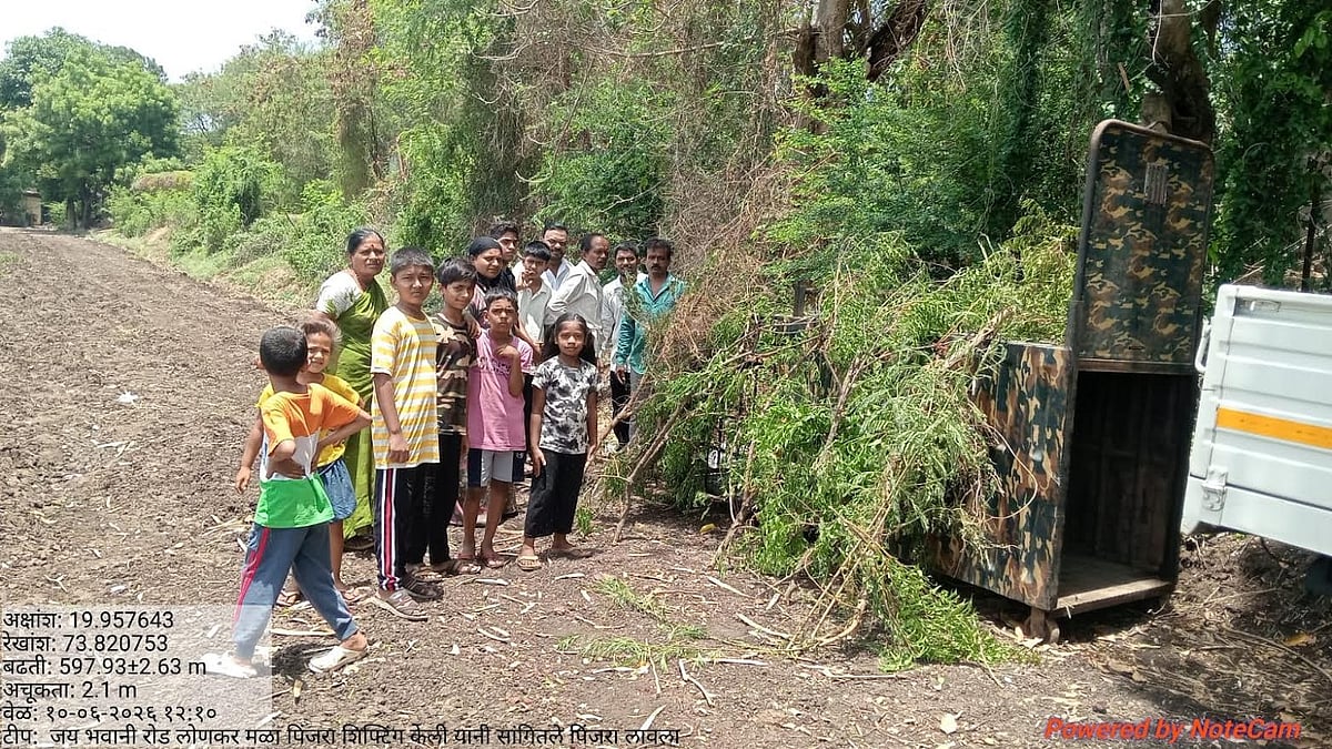 Nashik: Leopard Trapped Within 8 Hours Of Cage Installation In Jay Bhavani Road Area, Residents Relieved