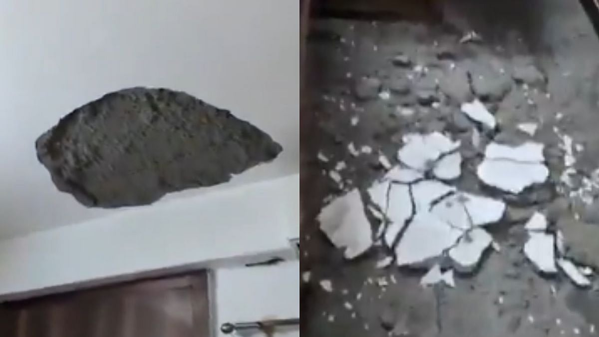 Video: Ceiling Plaster Collapses In Greater Noida Society Flat, Narrowly Avoids Injury