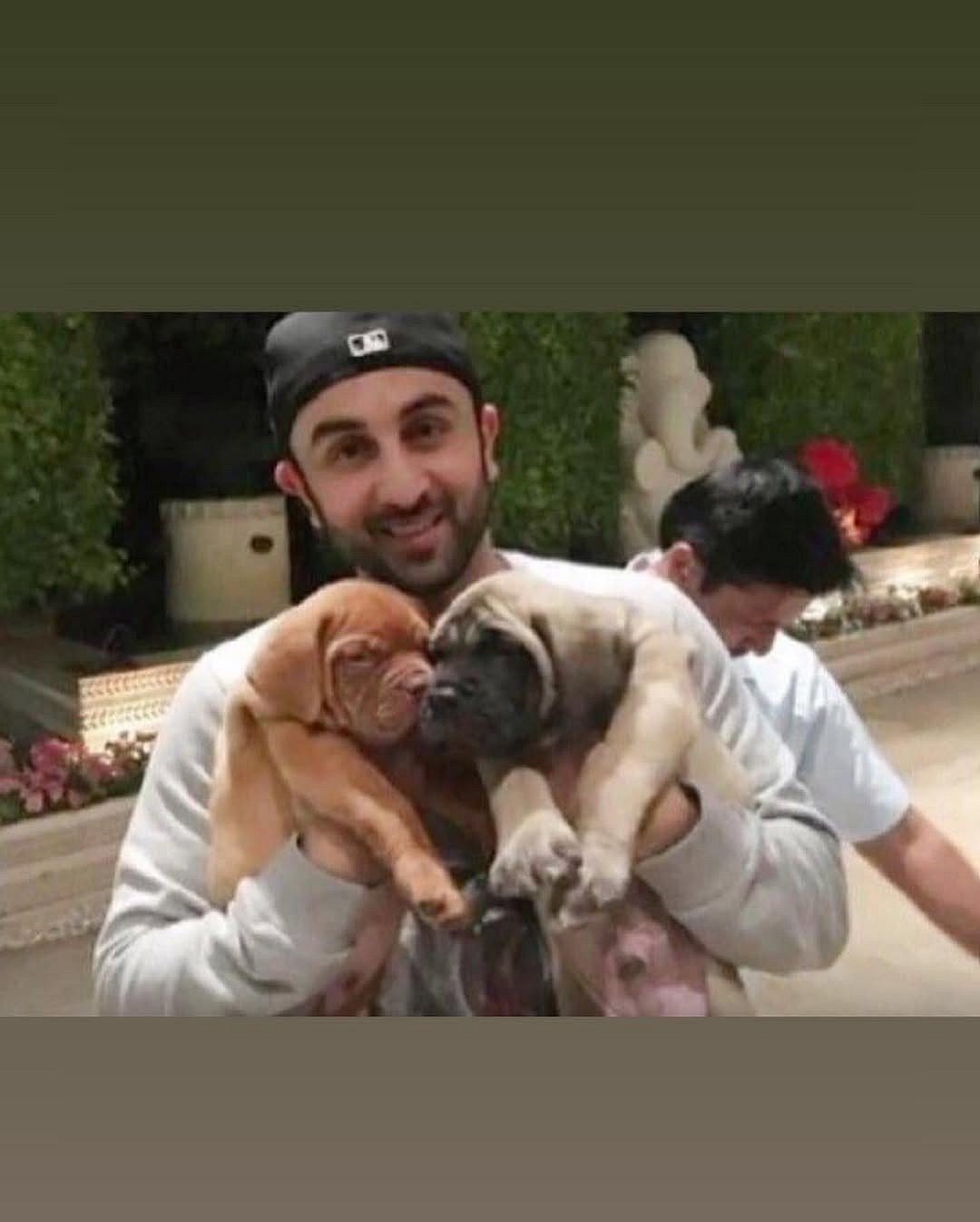 Ranbir Kapoor’s two dogs