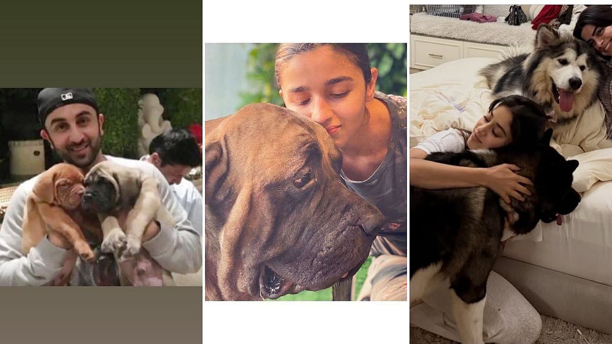 Here's All You Need To Know About Ranbir Kapoor, Janhvi Kapoor And Other Bollywood Celebs' Pets