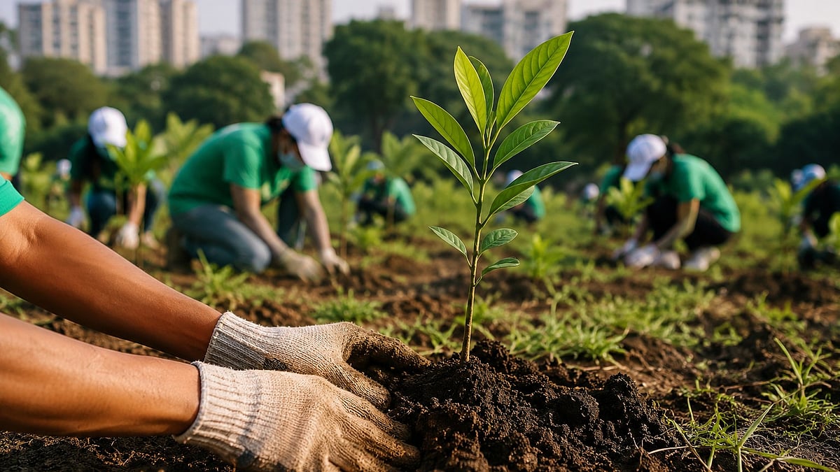 Pune Municipal Corporation Allocates ₹1.5 Crore For Monsoon Tree Plantation Drive, Targets 5 Million Trees Across Pune
