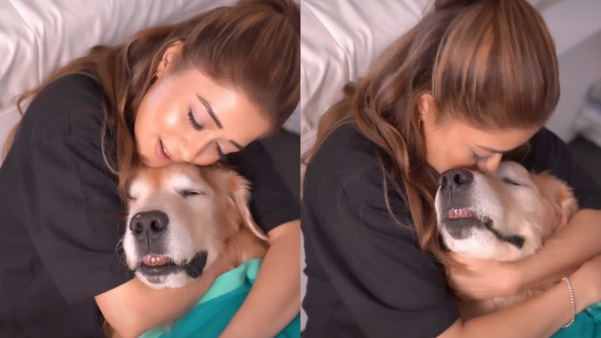'I Understood What Motherhood Felt Like': Tina Datta Pens Heartbreaking Note As Pet Dog Bruno Dies, Recalls His Final 'Rocky' Days