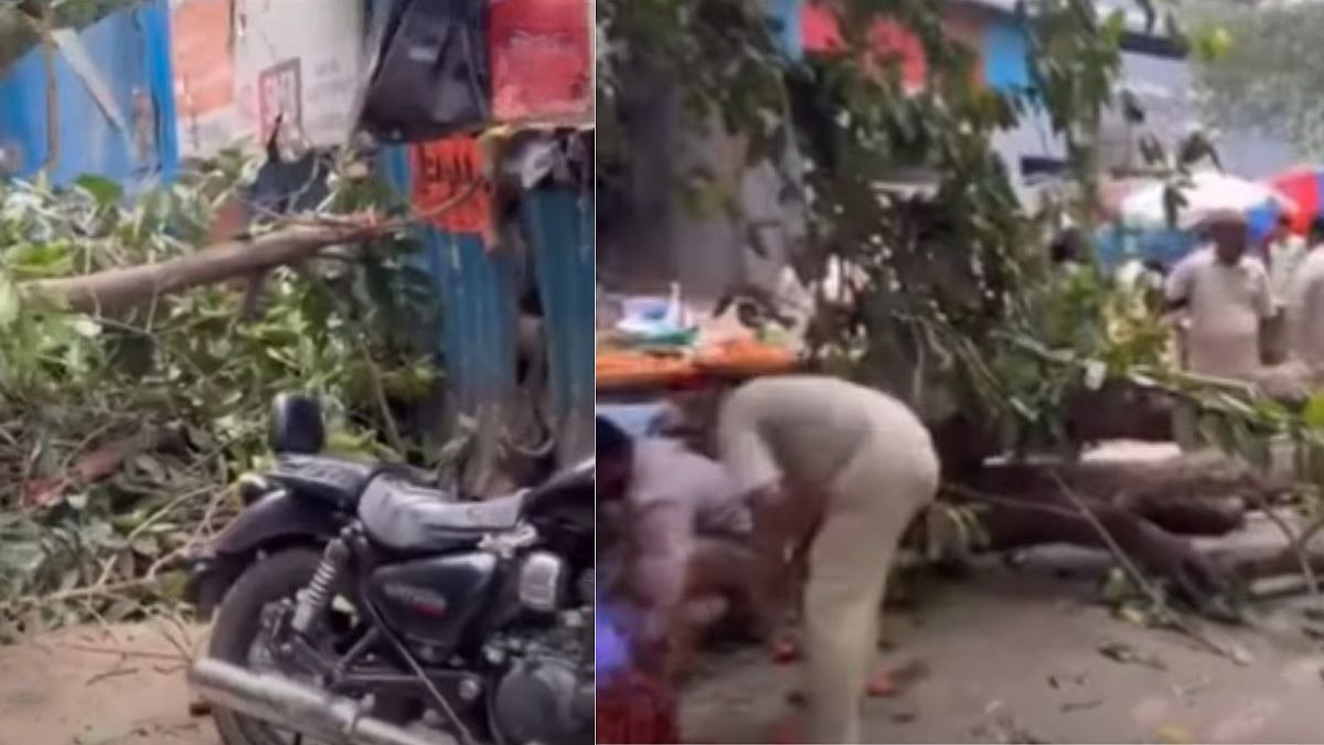 Mumbai: Massive Tree Collapses Near Dahisar Vegetable Market; Biker Injured - VIDEO