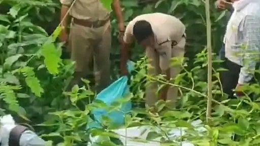 Cattle Remains And Meat-Cutting Tools Recovered During Joint Raid