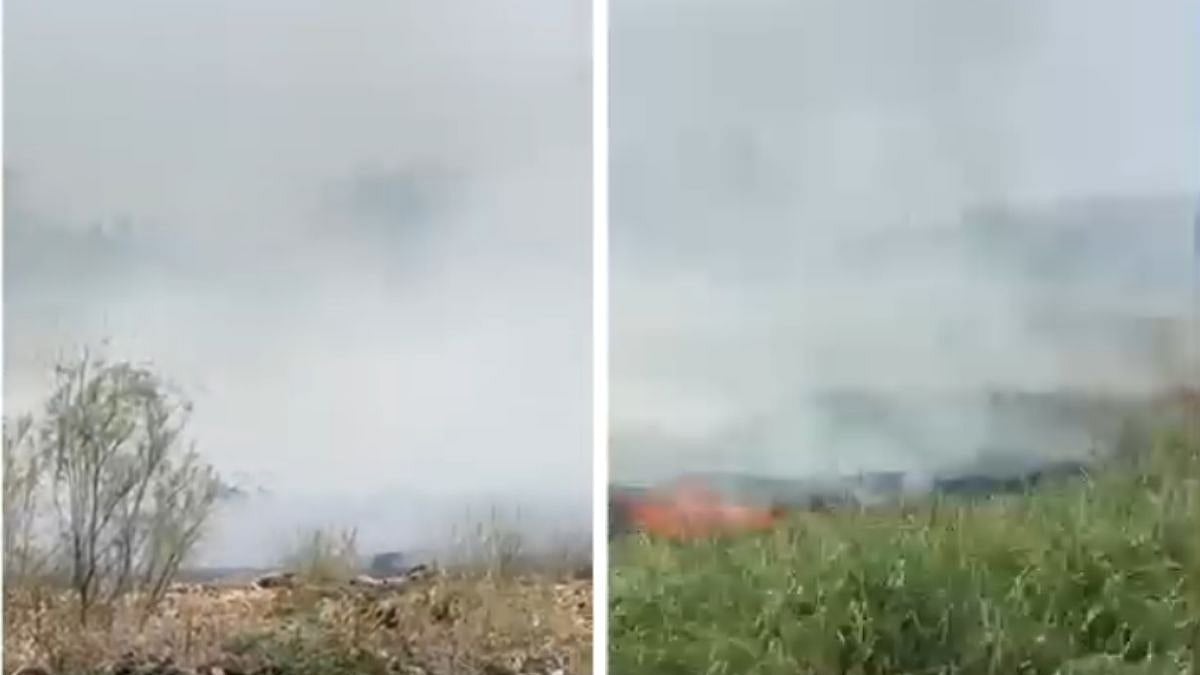Palghar: Massive Fire Breaks Out In Dry Grassland In Vasai-Virar; Thick Smoke Engulfs Area - WATCH 