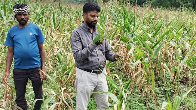 Soybean Boom Leaves Tribal Farmlands Facing Soil Crisis